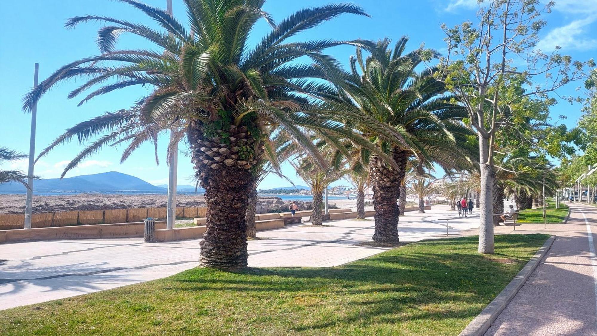 Lovealghero Stanze In Attico Vista Mare Zewnętrze zdjęcie